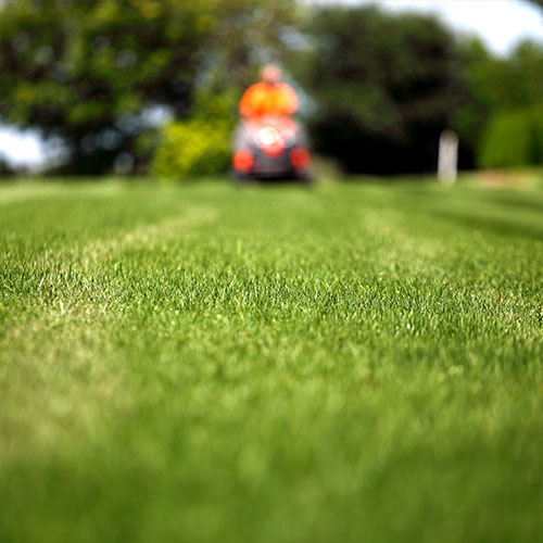 Lawn Mowing Banner Image
