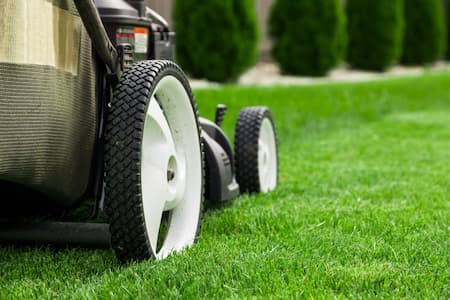 Lawn Mowing Essentials for a Healthier, Greener Yard