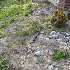 Quality-Seasonal-Cleanup-in-Springfield-Missouri 0