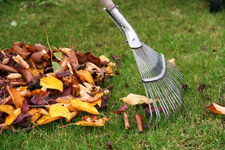 Seasonal Cleanup